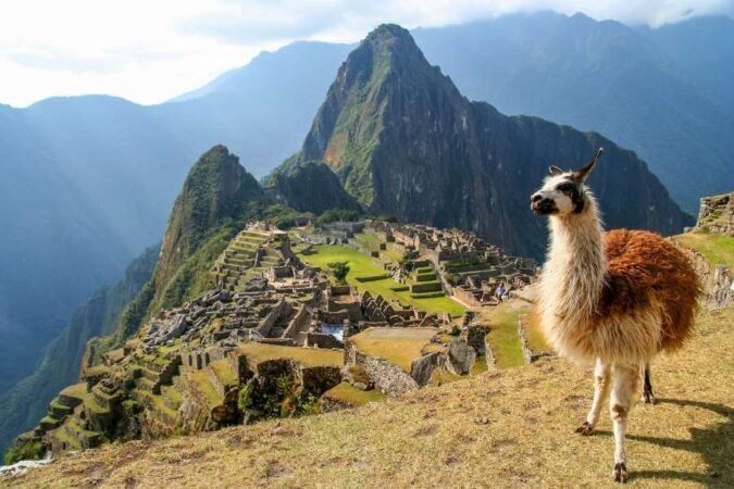 Un lama se tient au premier plan face au site majestueux lors de visiter le Machu Picchu.